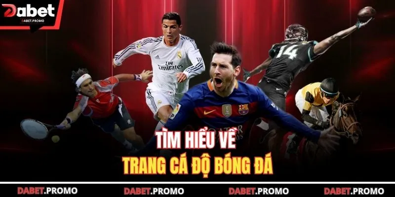 Tìm hiểu về trang cá độ bóng đá